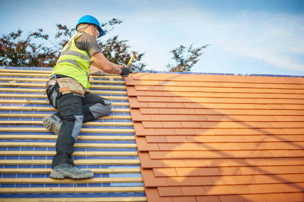 Fast & Reliable Emergency Roof Repairs in Mountain Grove, MO